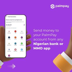 Palmpay USSD Code For Transfer, Buy Data and Check Balance (Without Internet)